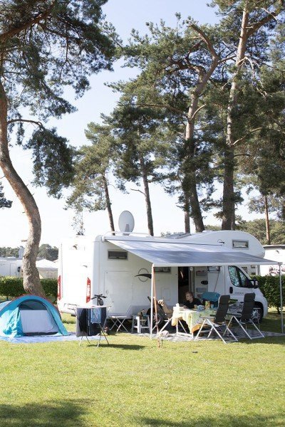 92a2238 6658978a452dd