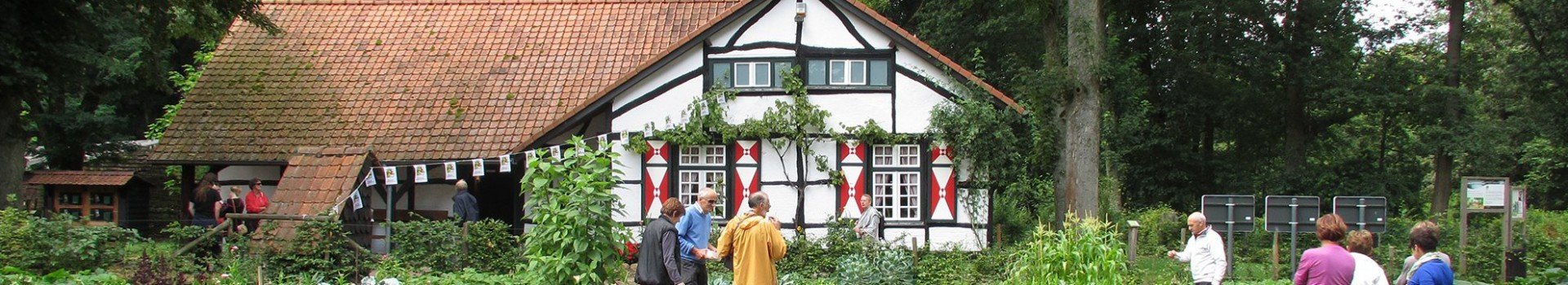 Ontdek het Limburgse landschap