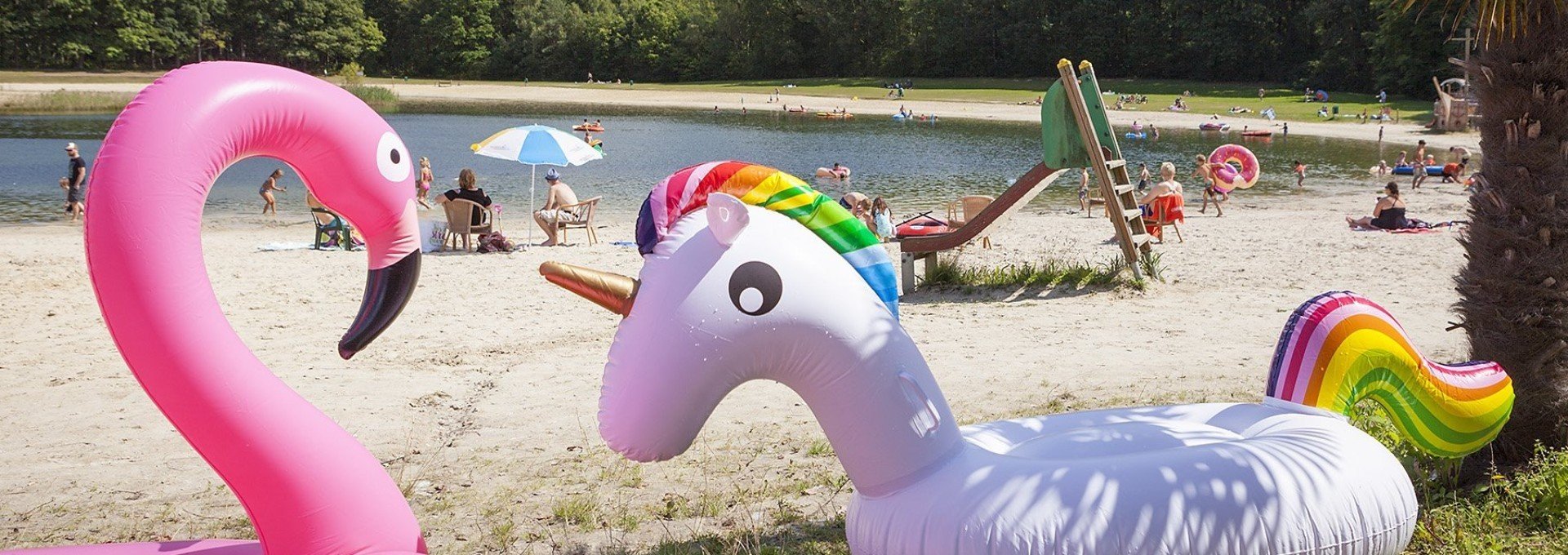 Og hengelhoef 2017 421